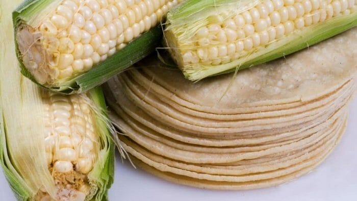 are corn tortillas vegan
