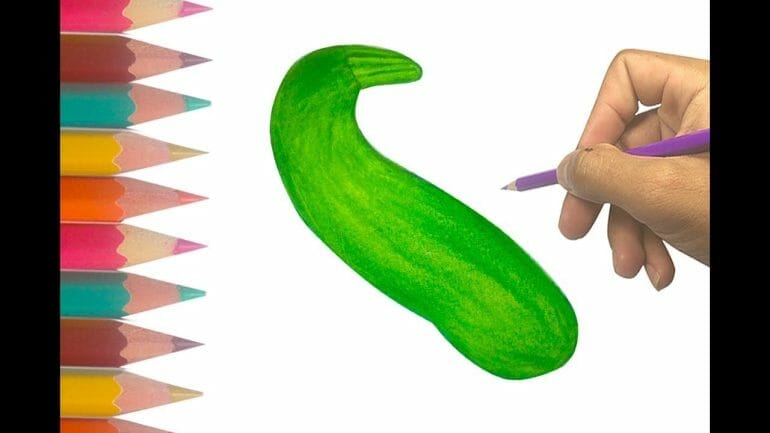 how to draw a zucchini

